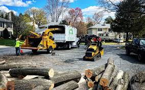 Best Commercial Tree Services  in West Liberty, KY